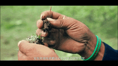 1730377102704575.gif