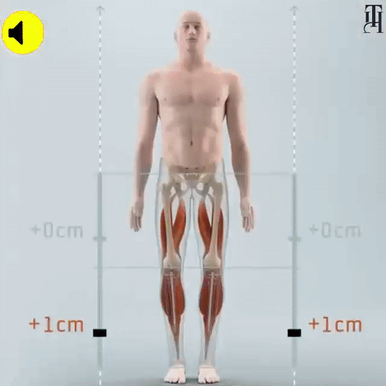 c332d84d7db7437cb9370ddc73da5656.gif